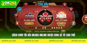 Cách Chơi Tài Xỉu OK365 Online Được Chia Sẻ Từ Cao Thủ